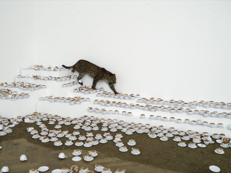 Paola Pivi — AWARE Women artists / Femmes artistes
