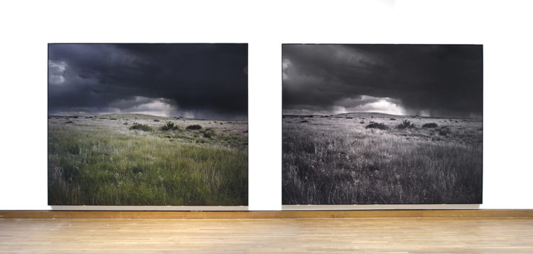 Geneviève Cadieux — AWARE Women artists / Femmes artistes