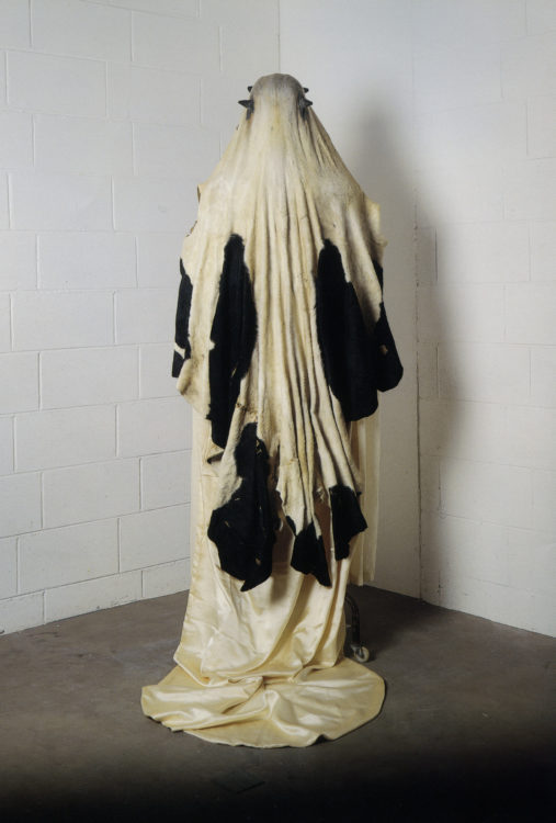 Dorothy Cross — AWARE Women artists / Femmes artistes