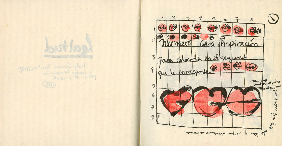 The Archival Impulse: Magali Lara and Carmen Boullosa’s Collaborative Artists’ Books - AWARE