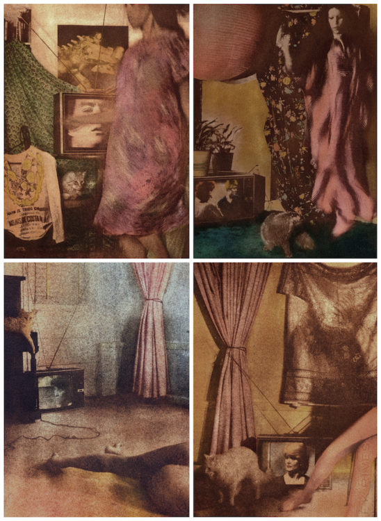Victoria Cabezas — AWARE Women artists / Femmes artistes
