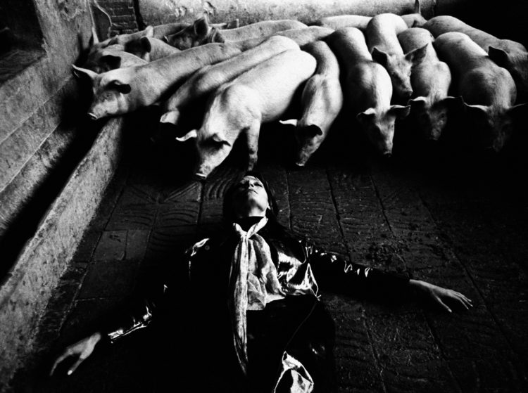 Isabel Steva Hernández (dite Colita) — AWARE Women artists / Femmes artistes