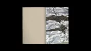 Entretien avec Barbara Chase-Riboud — AWARE