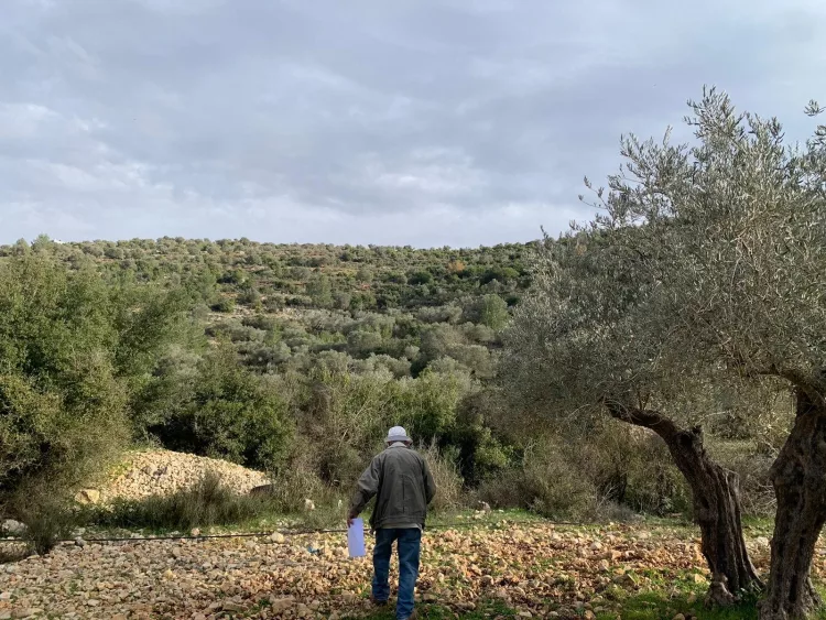Poetics of Tasting: A Tale of Resistance - AWARE