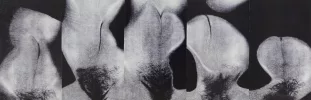 Amal Abdenour — AWARE