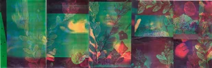 Amal Abdenour — AWARE