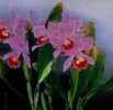 Chen Chin — AWARE