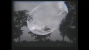 From Pioneers to the Present: The Political Force of Brazilian Video Art - AWARE Artistes femmes / women artists