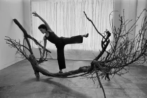Senga Nengudi et Maren Hassinger : Réciprocités incarnées - AWARE Artistes femmes / women artists