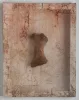 Sonya Kelliher-Combs — AWARE