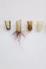 Sonya Kelliher-Combs — AWARE