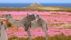 Neon in the dunes: the rebellious Gulf Futurism of Sophia Al-Maria - AWARE Artistes femmes / women artists