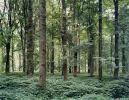 Tomoko Yoneda — AWARE