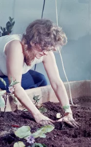 Helen Mayer Harrison — AWARE Women artists / Femmes artistes