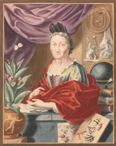 Maria Sibylla Merian — AWARE Women artists / Femmes artistes