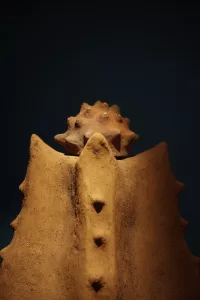 Terre-Mère : Carla Gueye auprès de Seyni Awa Camara - AWARE Artistes femmes / women artists