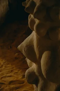 Terre-Mère : Carla Gueye auprès de Seyni Awa Camara - AWARE Artistes femmes / women artists