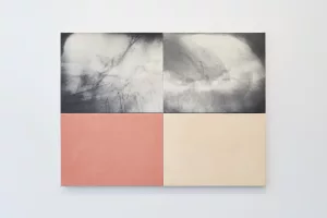 杉浦邦恵インタビュー：SFMOMAで再評価された「フォトペインティング」の先駆的表現 - AWARE Artistes femmes / women artists