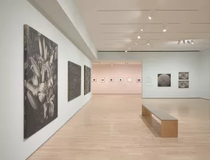 杉浦邦恵インタビュー：SFMOMAで再評価された「フォトペインティング」の先駆的表現 - AWARE Artistes femmes / women artists