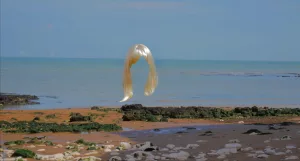 C.B. Evans - AWARE Artistes femmes / women artists