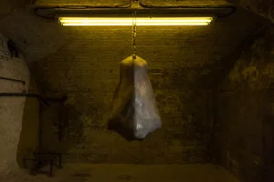 Laura Gozlan - AWARE Artistes femmes / women artists