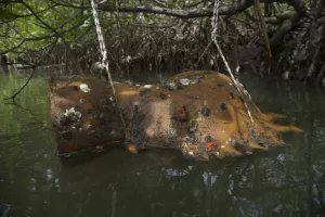 Terre-Mère : Carla Gueye auprès de Seyni Awa Camara - AWARE Artistes femmes / women artists