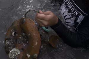 Terre-Mère : Carla Gueye auprès de Seyni Awa Camara - AWARE Artistes femmes / women artists