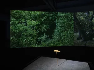 Saodat Ismailova - AWARE Artistes femmes / women artists