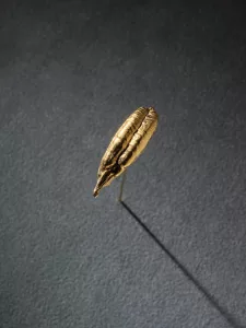 Saodat Ismailova - AWARE Artistes femmes / women artists