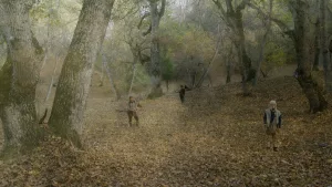 Saodat Ismailova - AWARE Artistes femmes / women artists