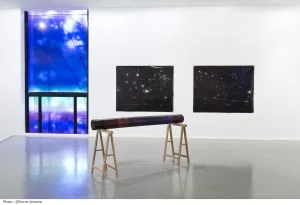 Bettina Samson - AWARE Artistes femmes / women artists