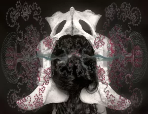 Consciousness Terra. Vision holistique de la nature dans l’œuvre de Tatiana Parcero - AWARE Artistes femmes / women artists