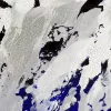 Diane Burko — AWARE