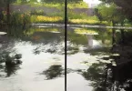 Diane Burko — AWARE