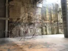Tania Candiani — AWARE